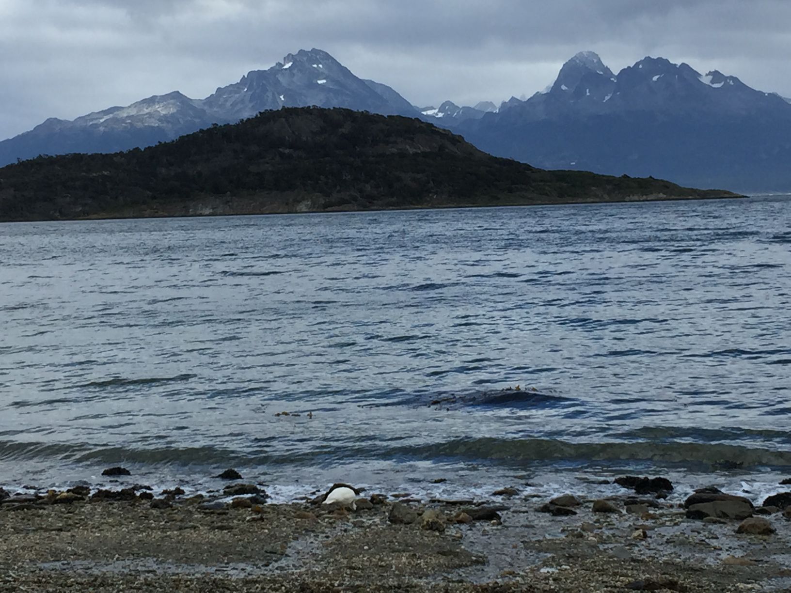 Patagonia Trip